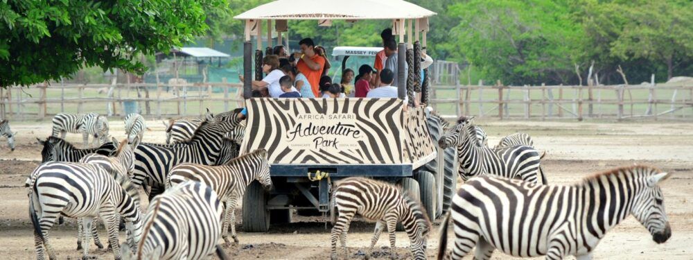 África Safari Adventure Park